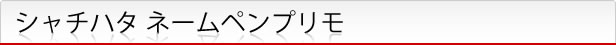 ネームペンプリモ
