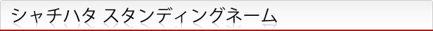 スタンディングネーム
